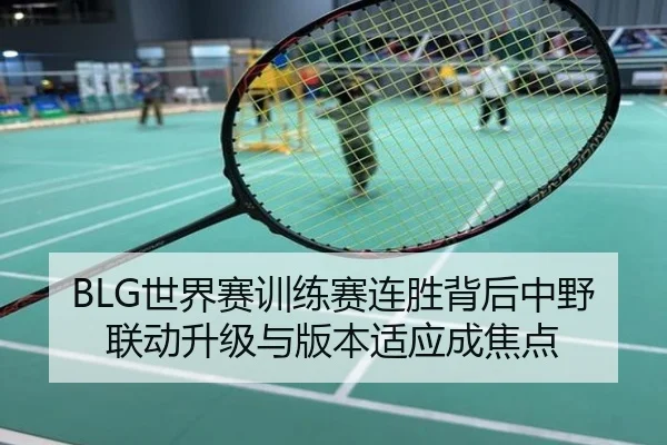 BLG世界赛训练赛连胜背后中野联动升级与版本适应成焦点