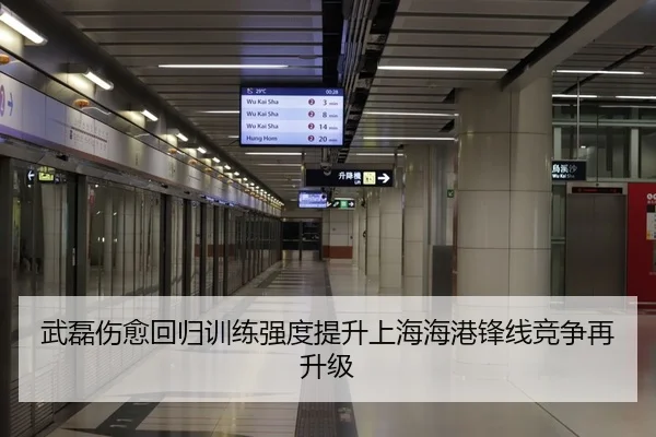 武磊伤愈回归训练强度提升上海海港锋线竞争再升级